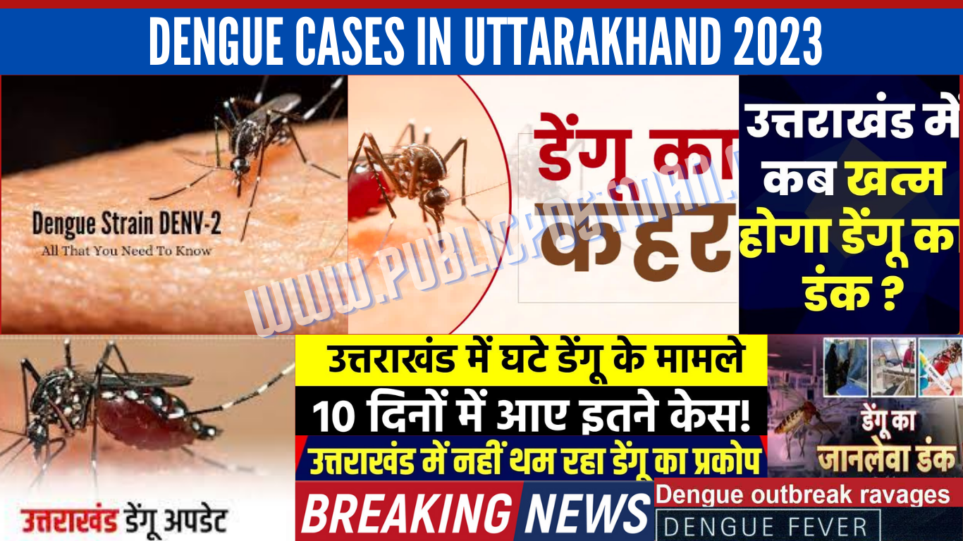 Dengue cases in Uttarakhand 2023